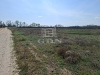 Ballószög Industrial area 4