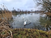 Budapest XXIII. kerület Family House 24