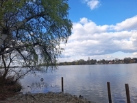 Ráckeve 家庭别墅 18