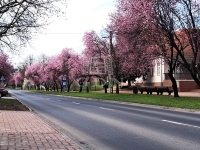 Tököl Частный дом 39