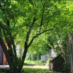 Szigetújfalu Building lot 0