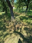 Szigetújfalu Building lot 0