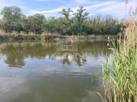 Taksony Családi ház 0