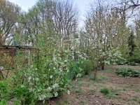 Hévízgyörk Einfamilienhaus 10