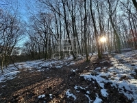 Verkauf wohngrundstück Kismaros, 1191m2