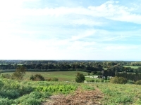 For sale building lot Alsóújlak, 28509m2